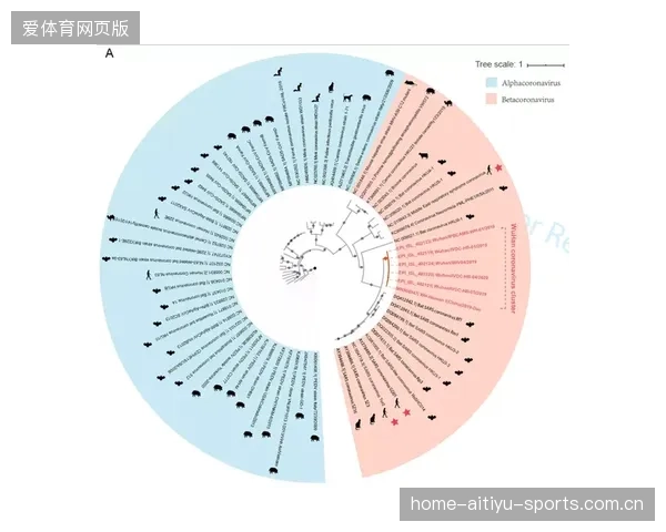 英超适应期比其他联赛多三倍？科学机构公布报告揭秘